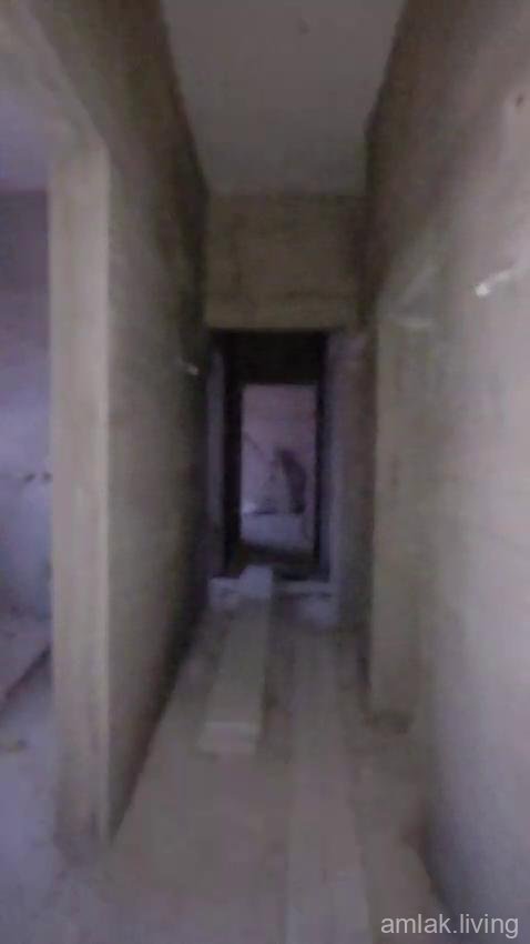 صورة العقار