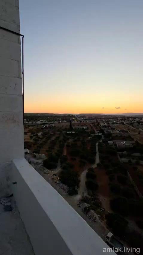 صورة العقار