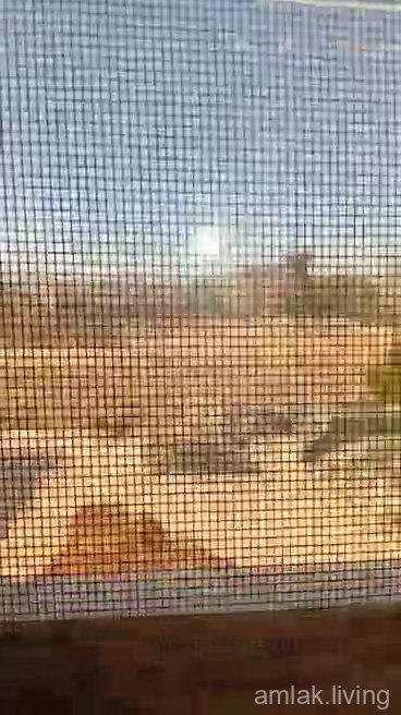 صورة العقار
