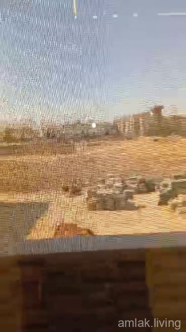 صورة العقار