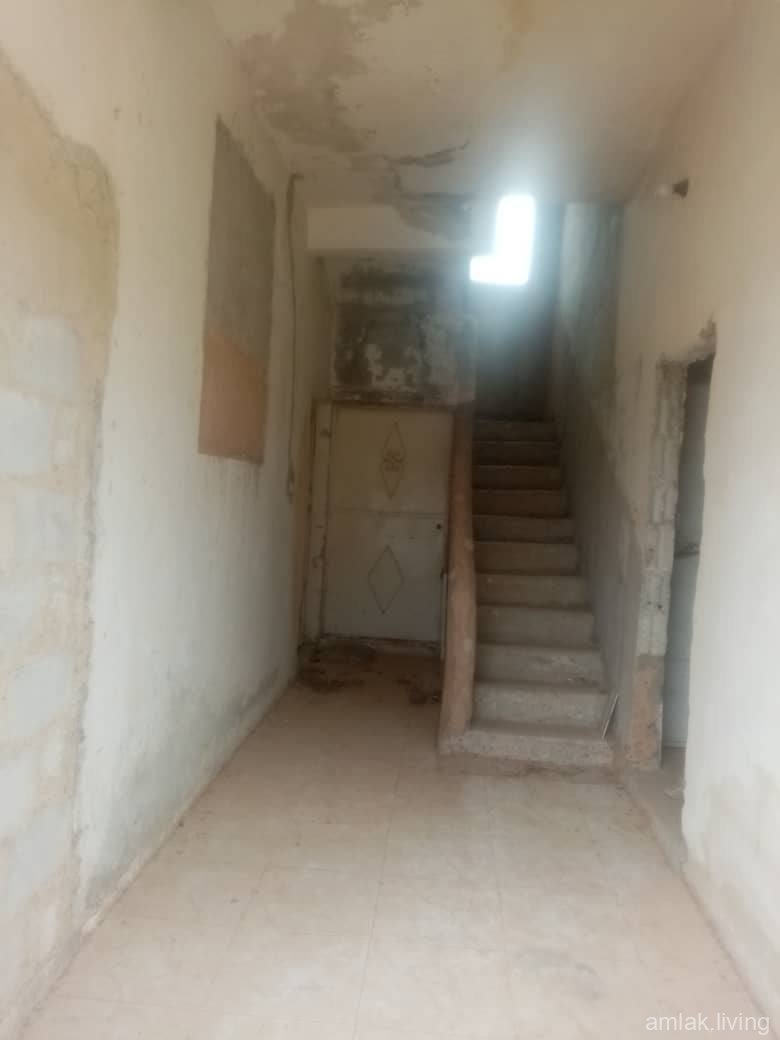 صورة العقار