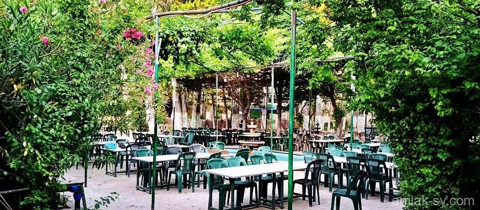 صورة العقار