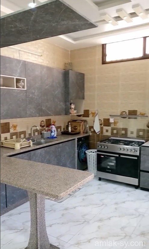 صورة العقار