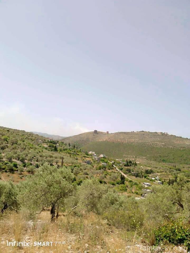 صورة العقار