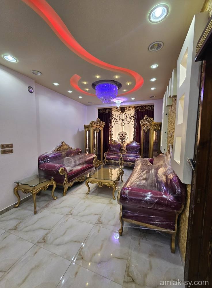 صورة العقار
