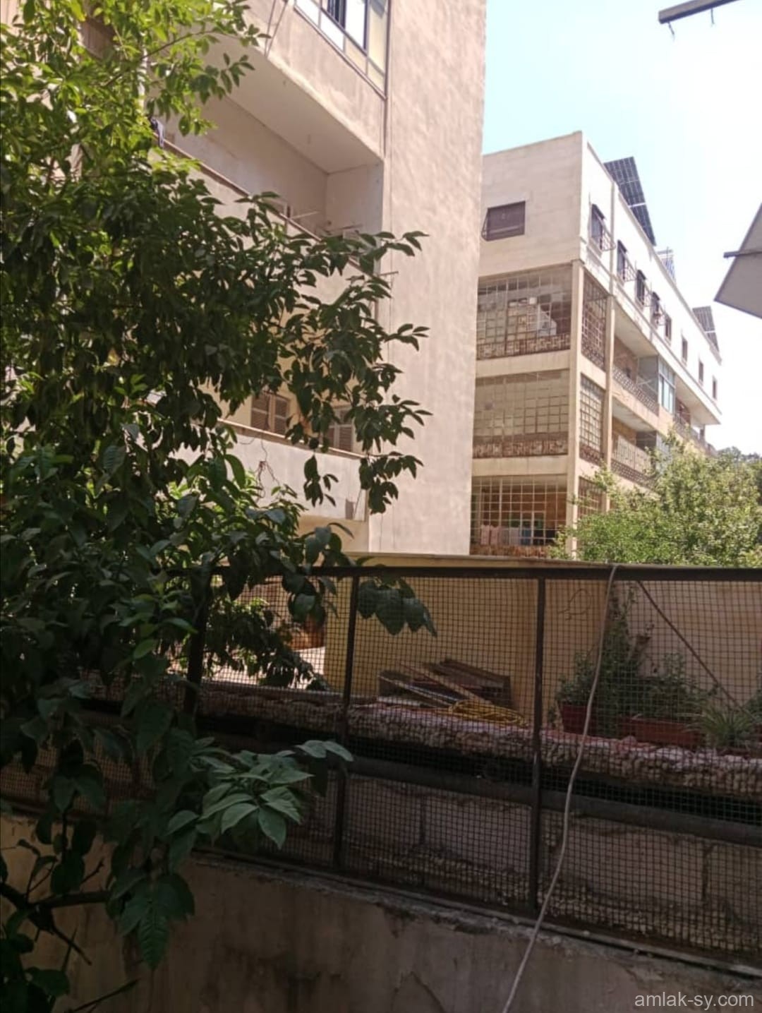 صورة العقار