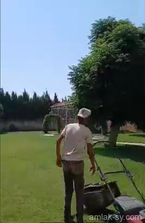 صورة العقار