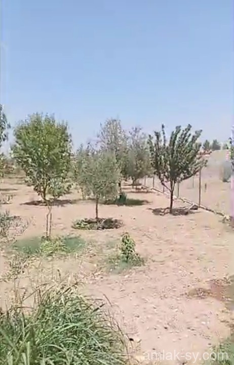 ارض في زبدين عين حاروش للبيع (571) (تم البيع)
