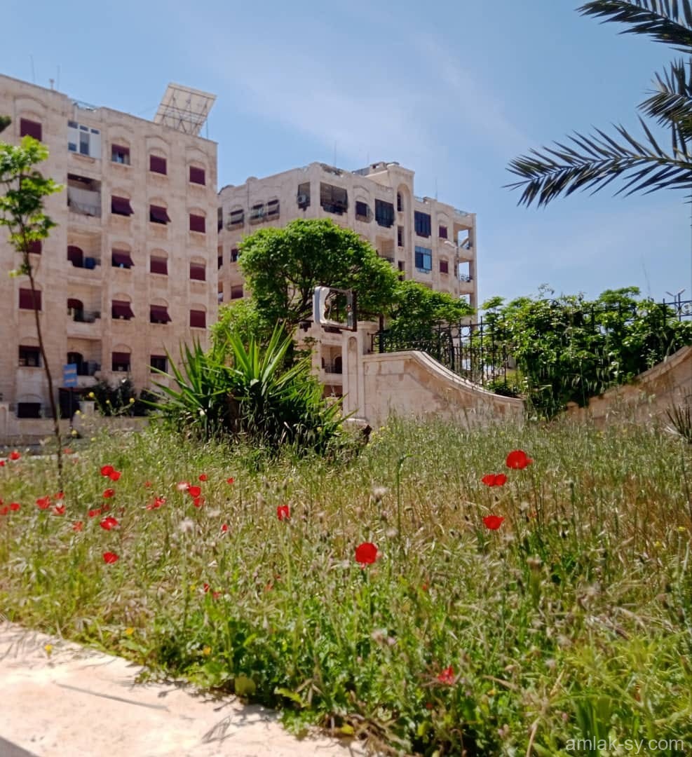 صورة العقار