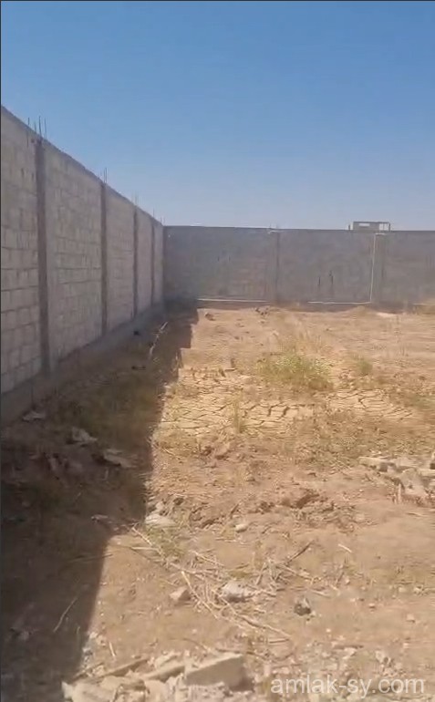 صورة العقار