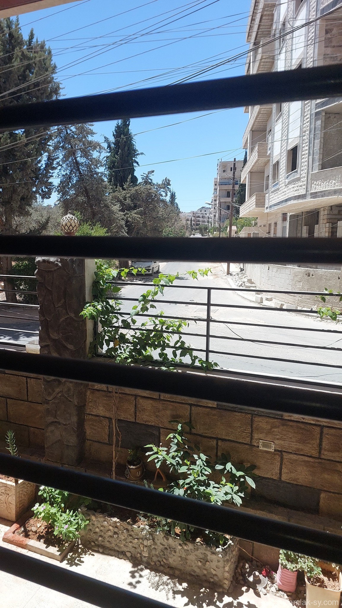 صورة العقار