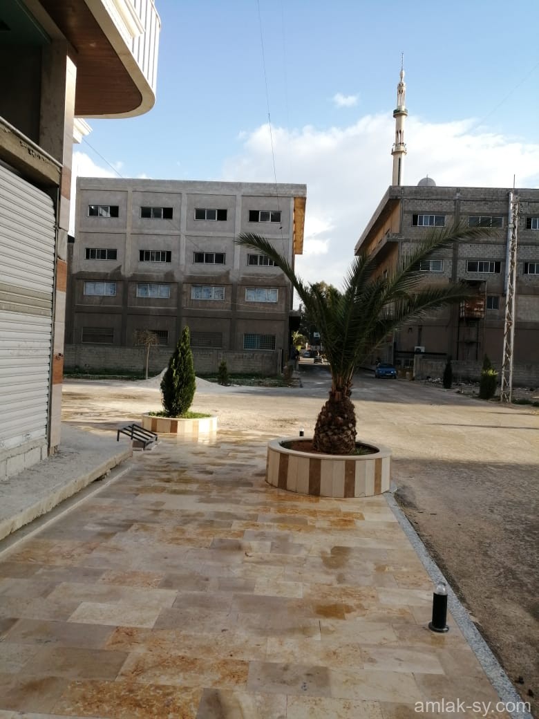 صورة العقار