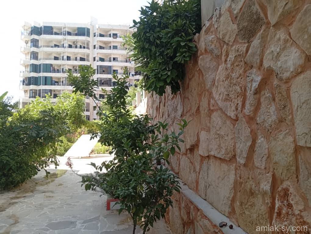 صورة العقار