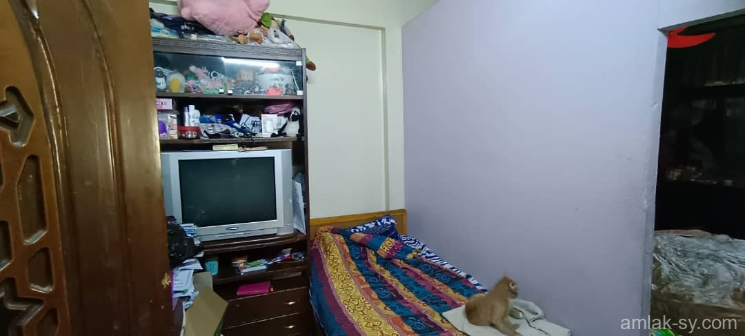 صورة العقار