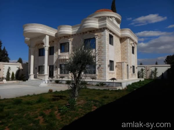 صورة العقار