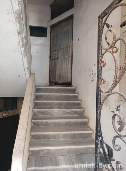 صورة العقار