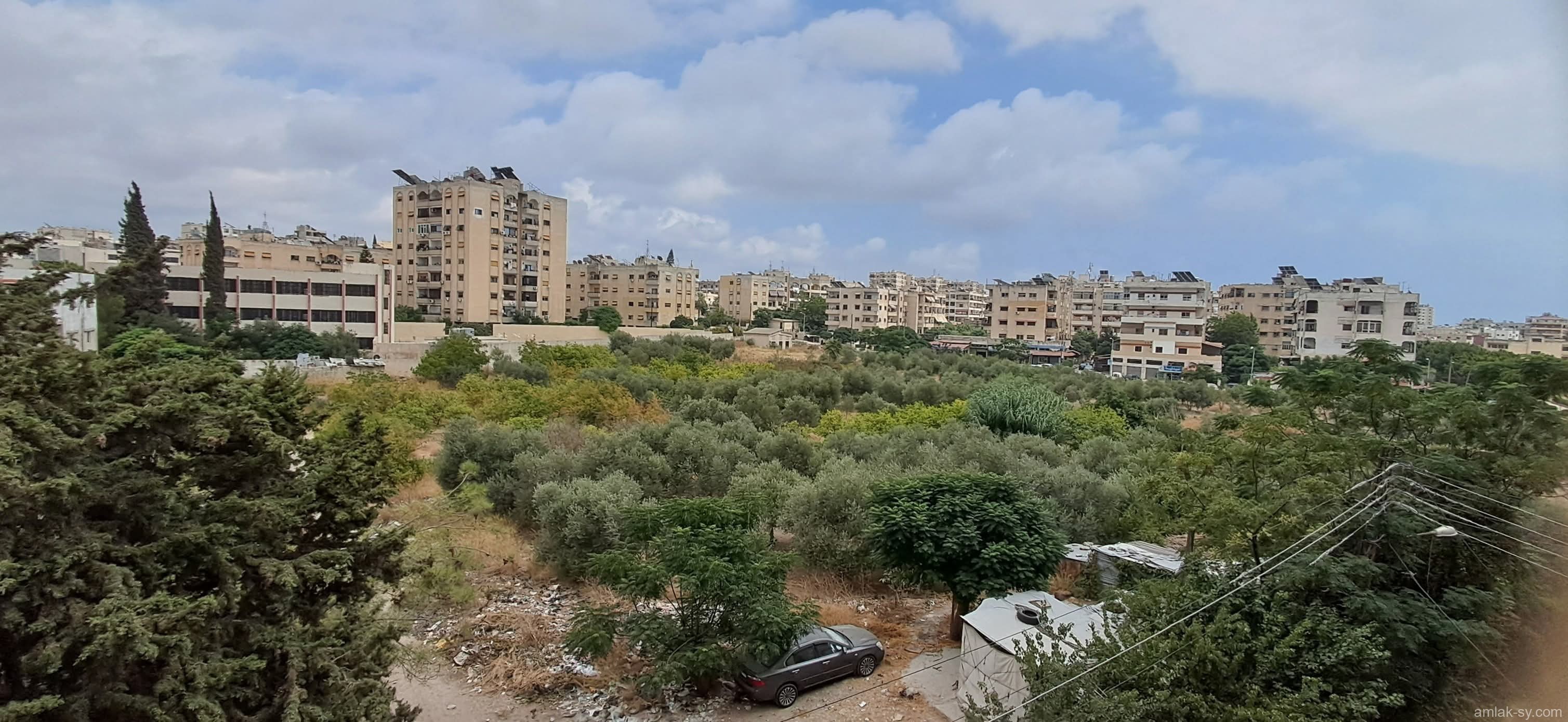 صورة العقار