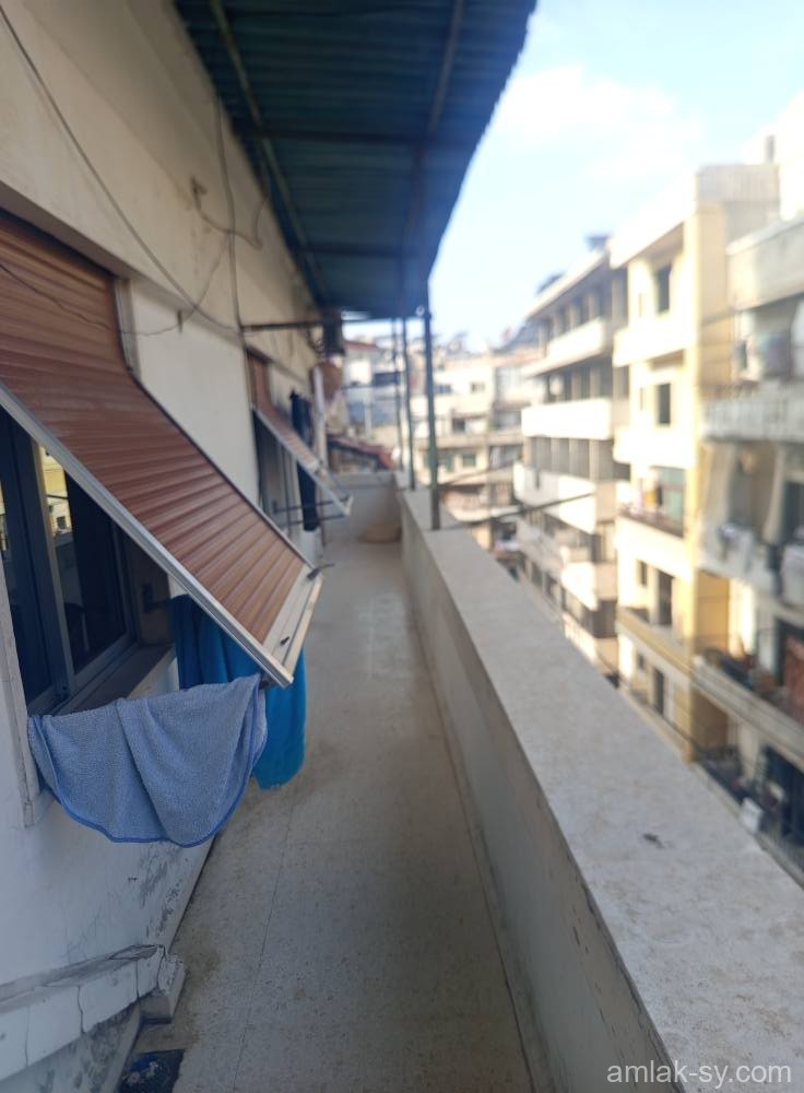 صورة العقار