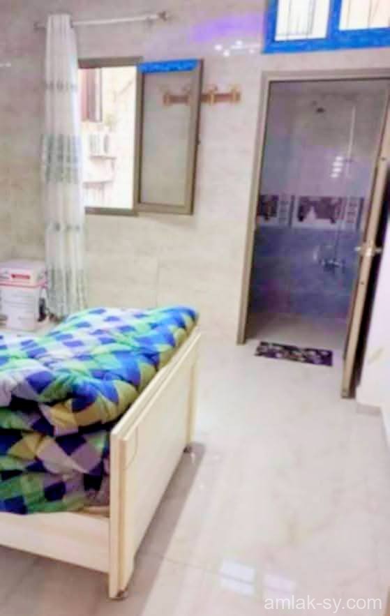 صورة العقار