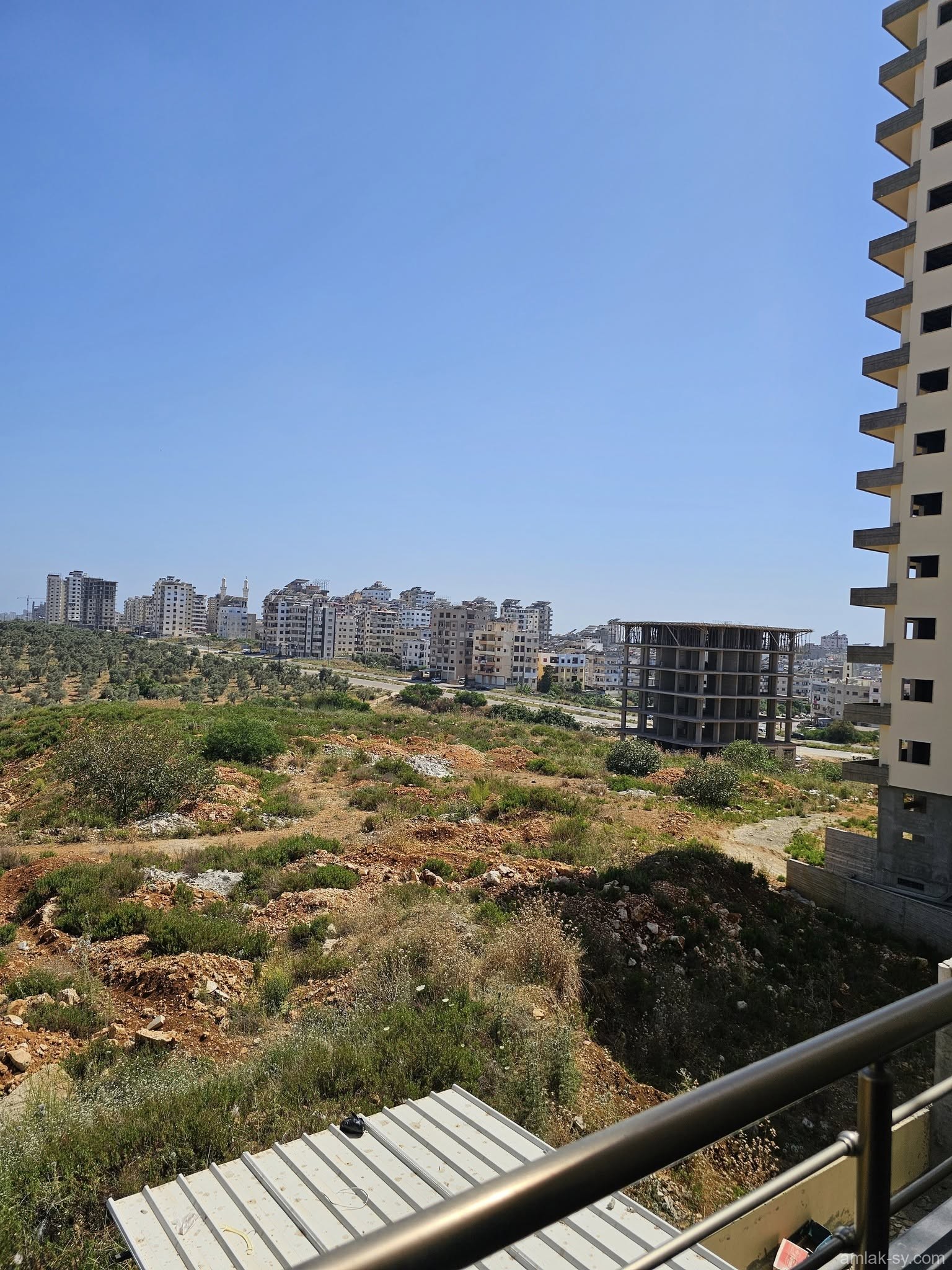 صورة العقار