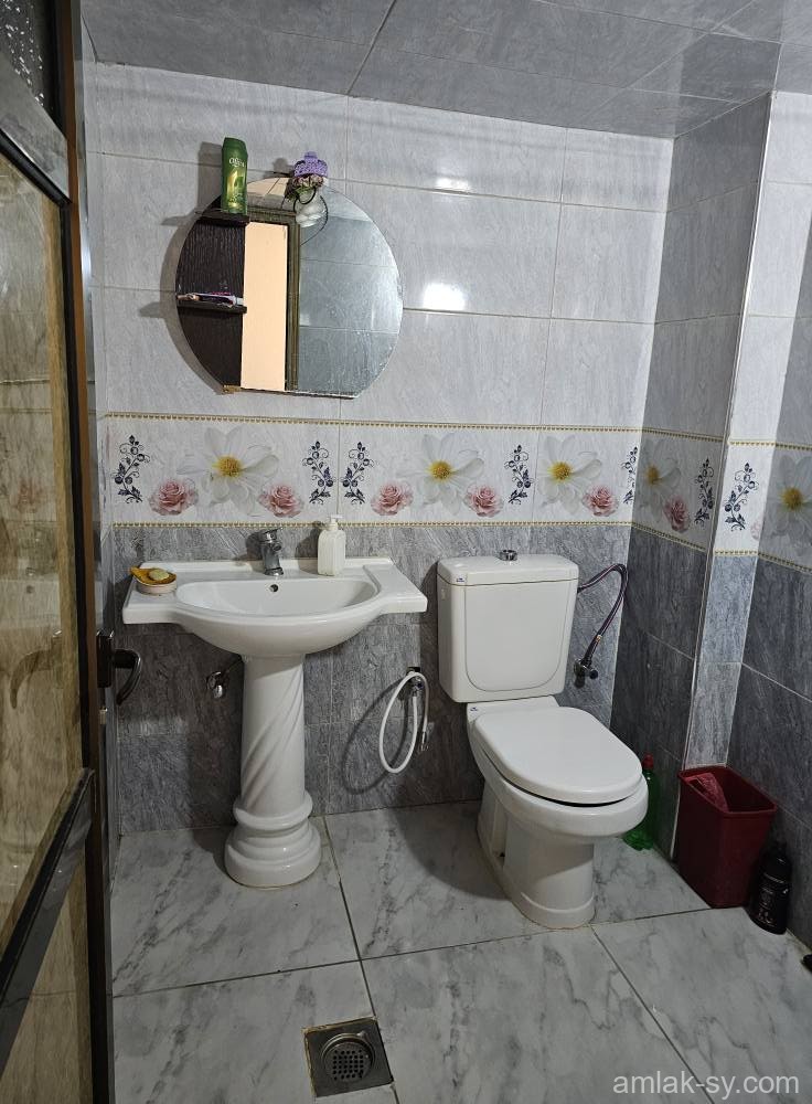 صورة العقار