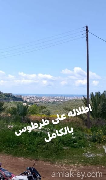 صورة العقار