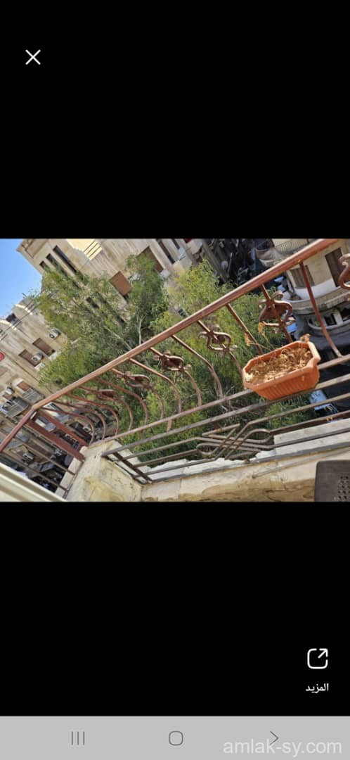 صورة العقار