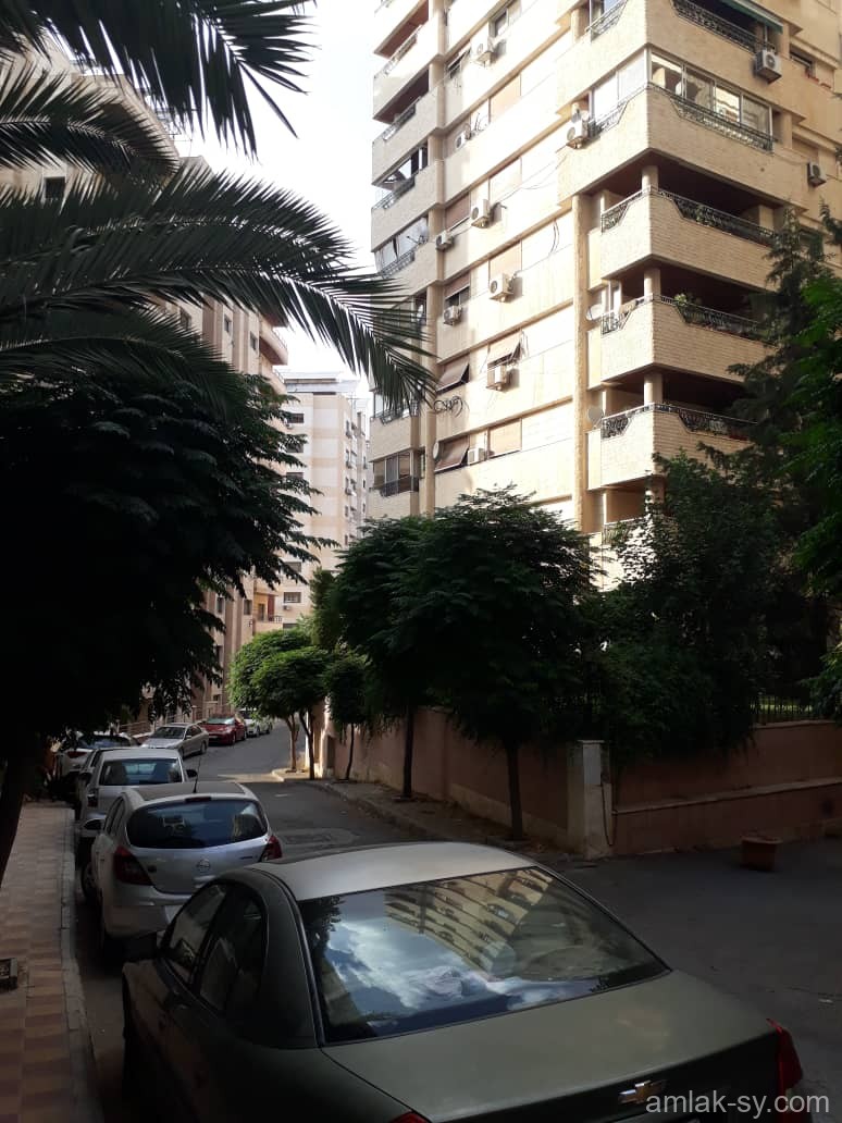 صورة العقار