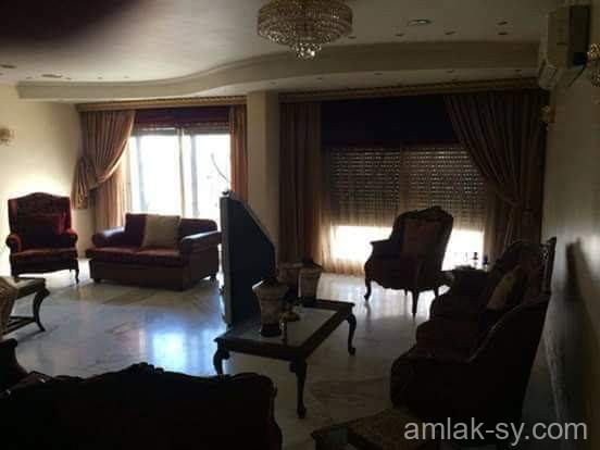 صورة العقار