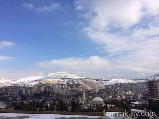 صورة العقار
