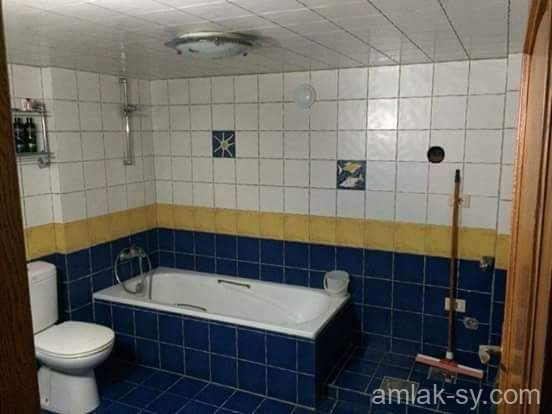 صورة العقار