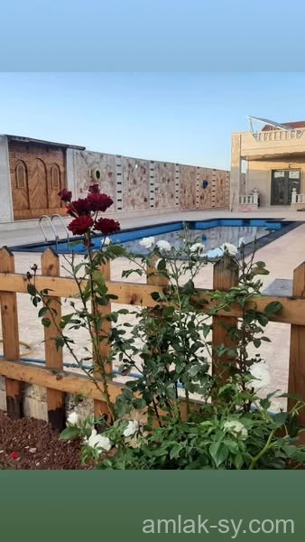 صورة العقار