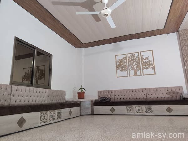 صورة العقار