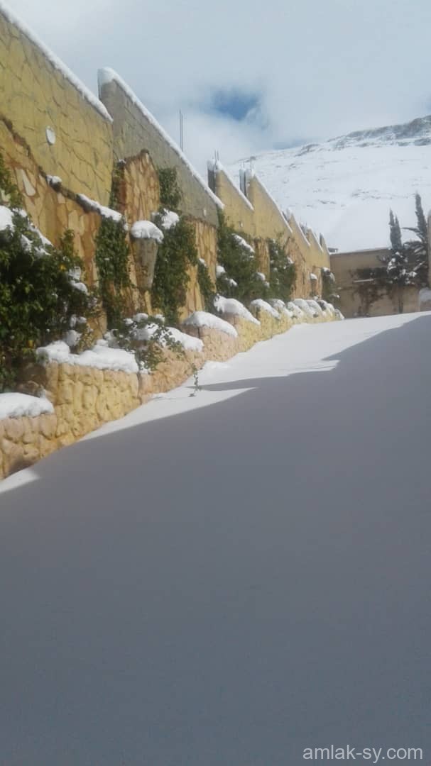 صورة العقار