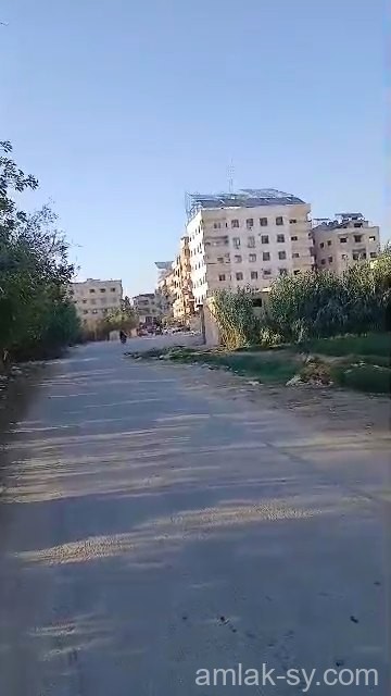أرض 118 قصبة في ببيلا للبيع (779)
