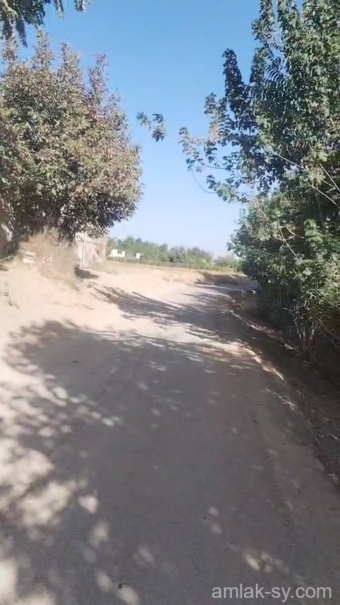 أرض 70 قصبة في عين ترما للبيع (952)