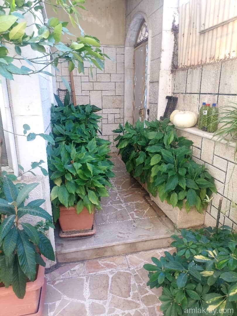 شقتين 195م في الزاهرة القديمة للبيع