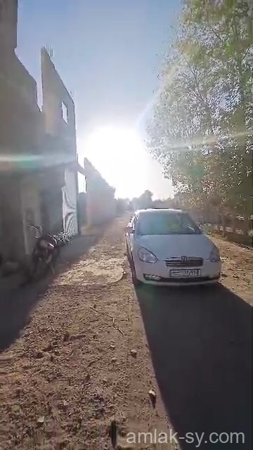 ارض 25 قصبة داخل المخطط التنظيمي في ببيلا للبيع (994)