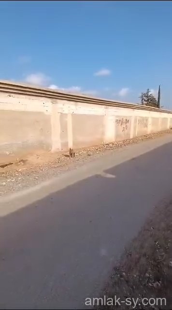 ارض 3600م في اول خان الشيخ للبيع