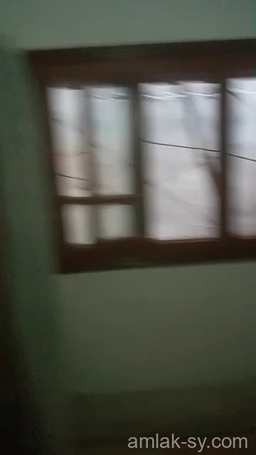 شقة غرفتين وموزع في كرم الزيتون للبيع