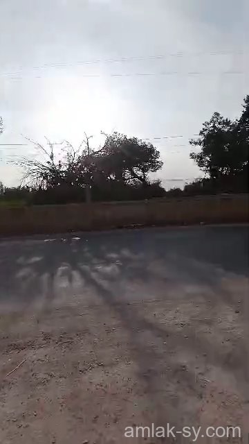 أ{ض 14 دنم على طريق المطار في شبعا للبيع (51)