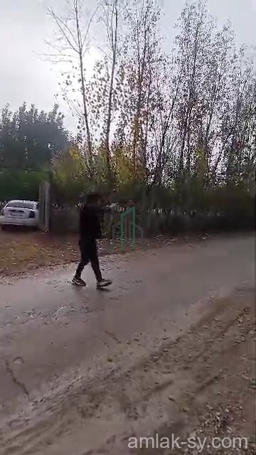 ارض 7ونص دونم في بالا للبيع (100)