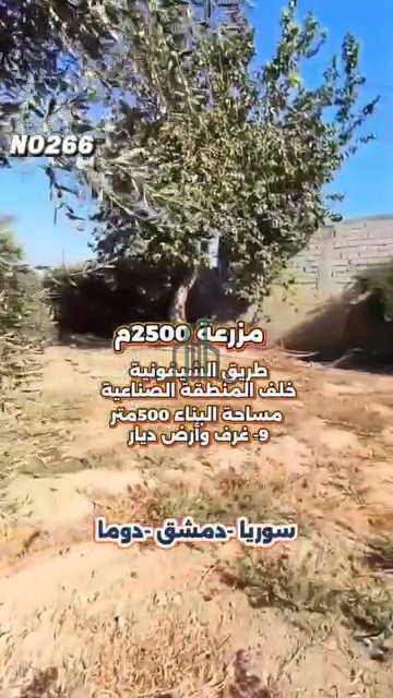 مزرعة 2500 م للبيع -ريف دمشق-دوما-خلف المنطقة الصناعية -طريق الشلفونية