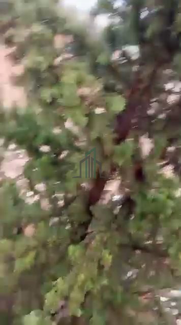 أرض للبيع 3000م - ريف دمشق- خان الشيح