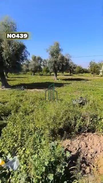 أرض للبيع 1000م -دمشق- دوما حي العب